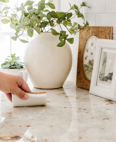 Full Circle 6-pc. In A Nutshell Walnut Scrubber Sponges In Brown