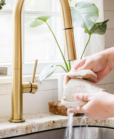 Full Circle 6-pc. In A Nutshell Walnut Scrubber Sponges In Brown