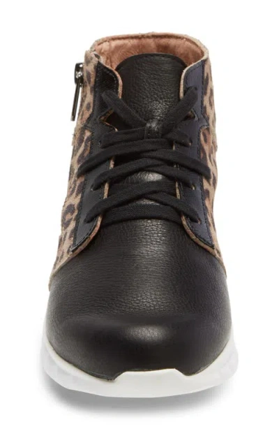 Naot Polaris High Top Sneaker In Multi