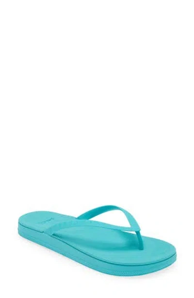 Sanuk Funshine Water Friendly Flip Flop In Blue