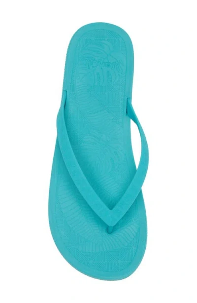 Sanuk Funshine Water Friendly Flip Flop In Blue