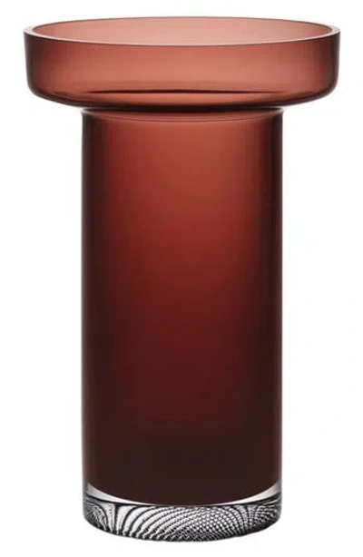 Orrefors Limelight Tall Vase In Brown