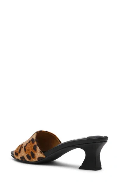 Dolce Vita Dv By  Brendah Slide Sandal In Animal Print