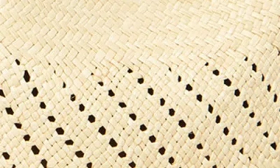 San Diego Hat Perforated Ribbon Trim Straw Fedora In Brown