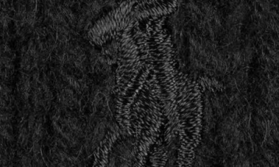 Polo Ralph Lauren Polo Player Merino Wool & Alpaca Beanie In Black
