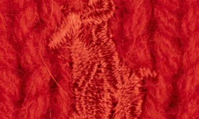 Polo Ralph Lauren Polo Player Merino Wool & Alpaca Beanie In Red