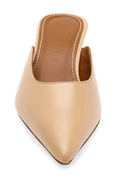 Staud Sebastian Kitten Heel Mule In Brown