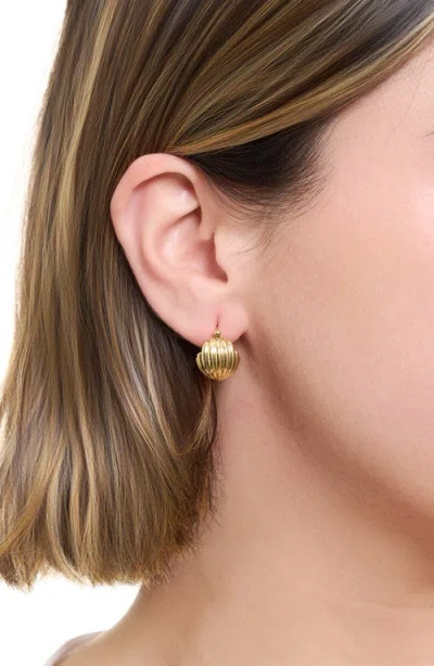 Athra Luxe Chunky Huggie Hoop Earrings In Gold