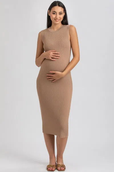 Pietro Brunelli Maternity Maternity Sleeveless Fitted Rib Knit Iris Dress In Moonlight Rock