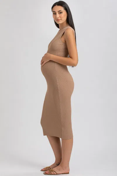 Pietro Brunelli Maternity Maternity Sleeveless Fitted Rib Knit Iris Dress In Moonlight Rock