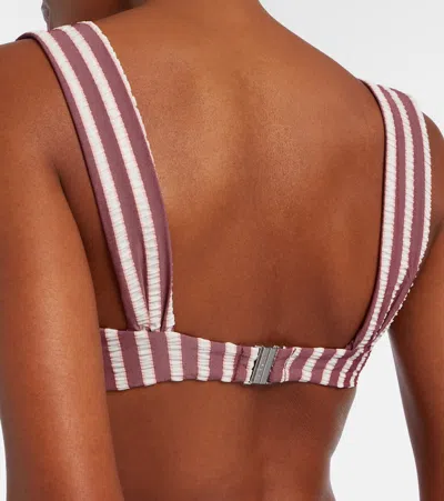 Simkhai Anniston Striped Bikini Top In Burgundy