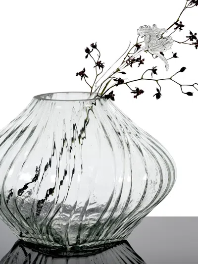 Serax Josephine Vase Aus Mattiertem Glas In Transparent