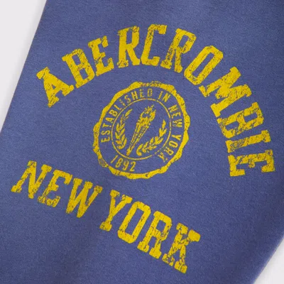 Abercrombie & Fitch Logo Baggy Open-hem Sweatpants In Blue