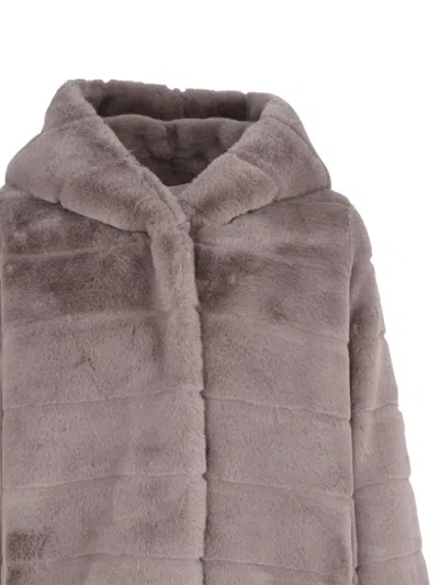 Apparis Goldy Jacket In Pink