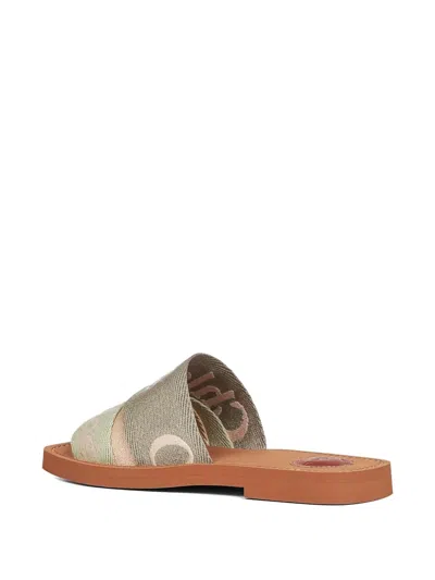 Chloé Flat Slide Sandals Open Toe Strap In Brown