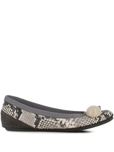 Dove Nuotano Gli Squali Becky Snake-print Appliqué Ballet Flats In Gray