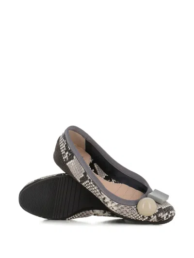 Dove Nuotano Gli Squali Becky Snake-print Appliqué Ballet Flats In Gray