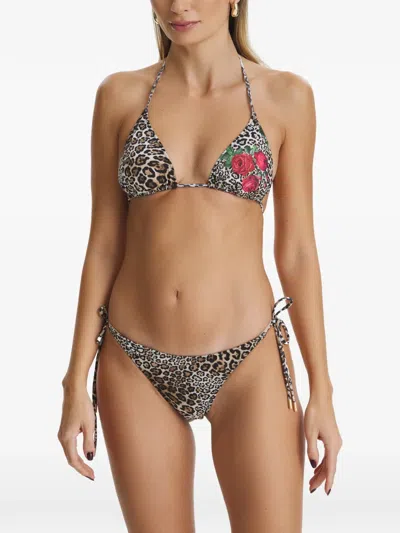Sofia Erhan Kyle Leopard-print Bikini In Multi