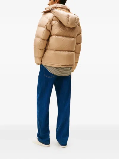 Tommy Jeans Padded Zip-fastening Jacket In Neutral