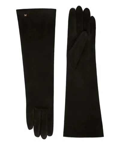Max Mara Afidee Long Gloves In Black