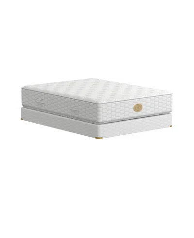 Shifman 8 Standard Box Spring Collection In White