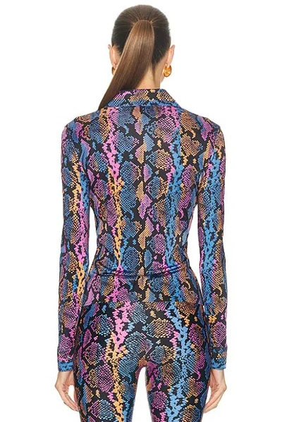 Versace Python-print Shirt In Multi