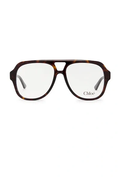 Chloé Shield Eyeglasses In Brown