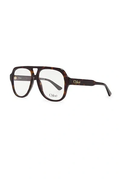 Chloé Shield Eyeglasses In Brown