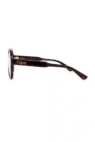 Chloé Shield Eyeglasses In Brown
