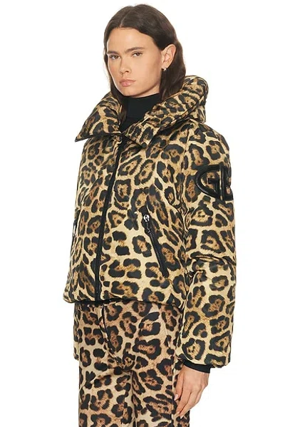 Goldbergh Pantera Leopard-print Hooded Padded Recycled Down Ski Jacket In Animal Print