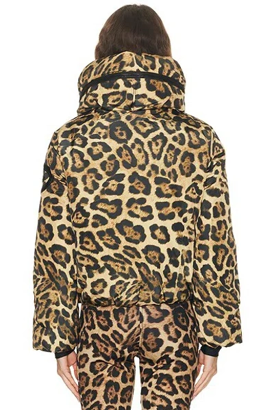 Goldbergh Pantera Leopard-print Hooded Padded Recycled Down Ski Jacket In Animal Print