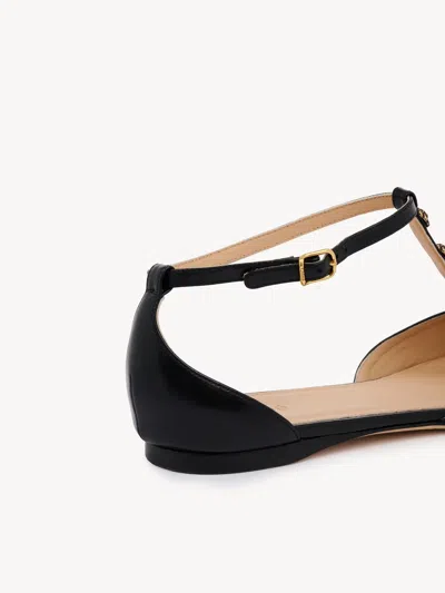 Chloé Celeste Embellished Leather Ballet Flats In Black