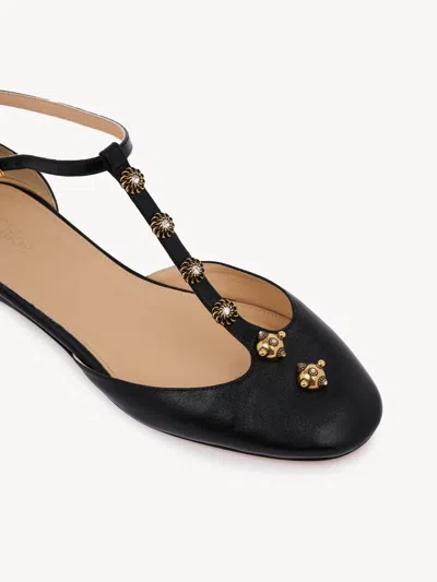 Chloé Celeste Embellished Leather Ballet Flats In Black