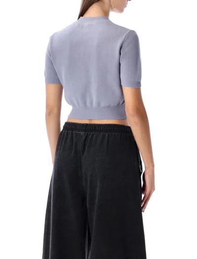 Alexander Wang Omens Lavender Grey Cropped Embossed-brand Knitted Top In Blue