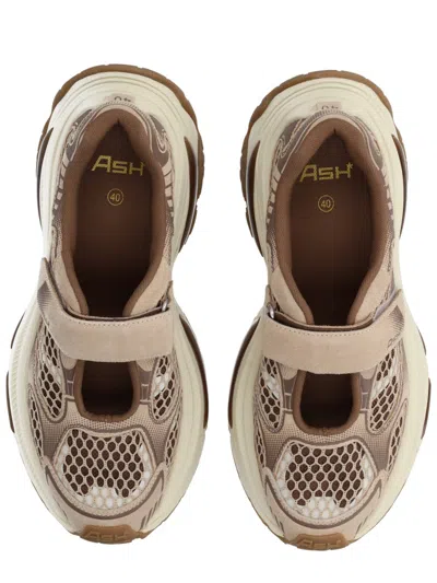 Ash Drake Sneaker In Multi