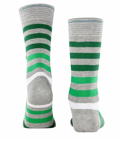 Burlington Blackpool In Gray