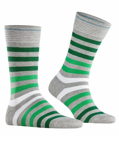 Burlington Blackpool In Gray