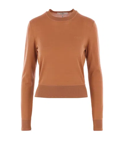 Chloé Crewneck Knitewear Knitwear Brown In Brown