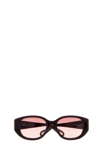 Chloé Chloe Burgundy Acetate Sunglasses In Brown