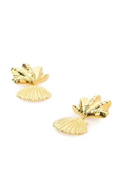Chloé Shell Design Textured Metal Earrings In Gold
