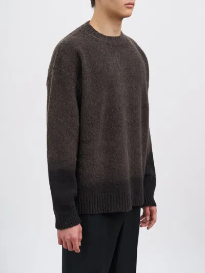 Danilo Paura Asia Crew Neck Sweater In Brown