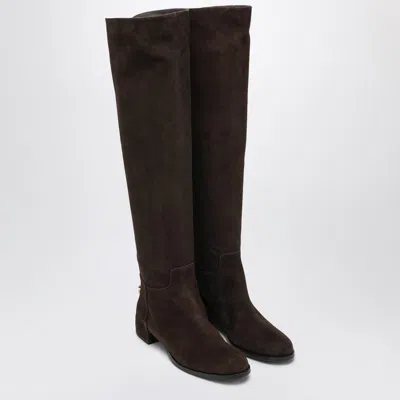 Dolce & Gabbana High Suede Boot In Ebony Brown In Brown