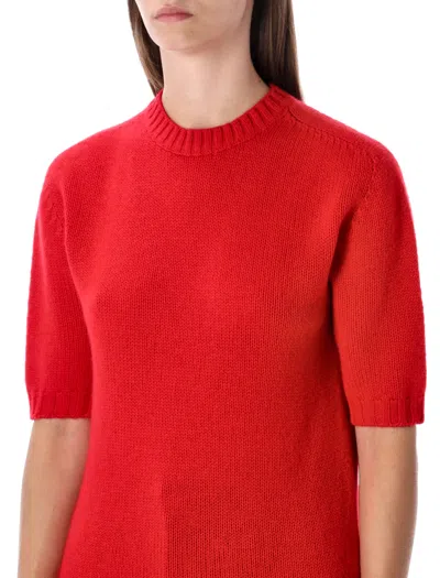 Fabiana Filippi Short Sleeve Cashmere Knit Sweater In Red