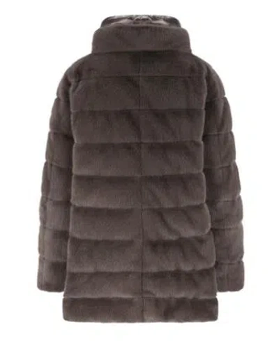 Herno Grey Down Jacket In Faux Fur With Hood In Brown