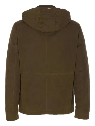 Herno Padded Parka With Hood In Brown