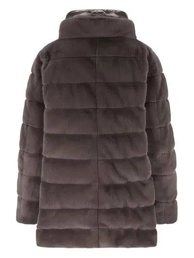 Herno Grey Down Jacket In Faux Fur With Hood In Brown