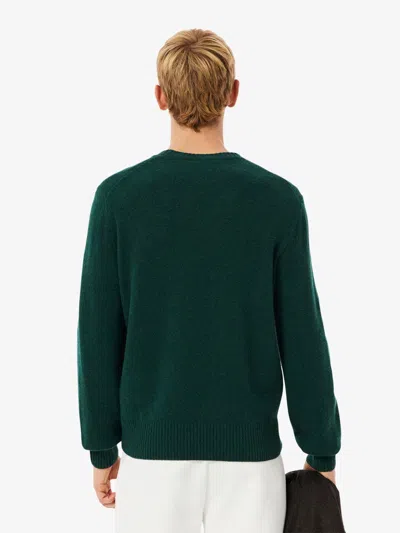 Lacoste Wool Crew Neck Sweater In Green