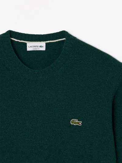 Lacoste Wool Crew Neck Sweater In Green