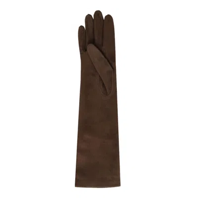 Max Mara Brown Calf Leather Gloves In Burgundy