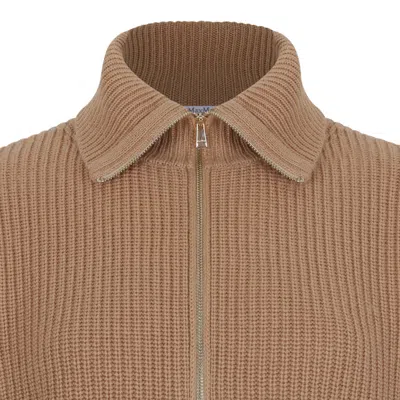 Max Mara Camel Wool Cashmere Sweater In Brown